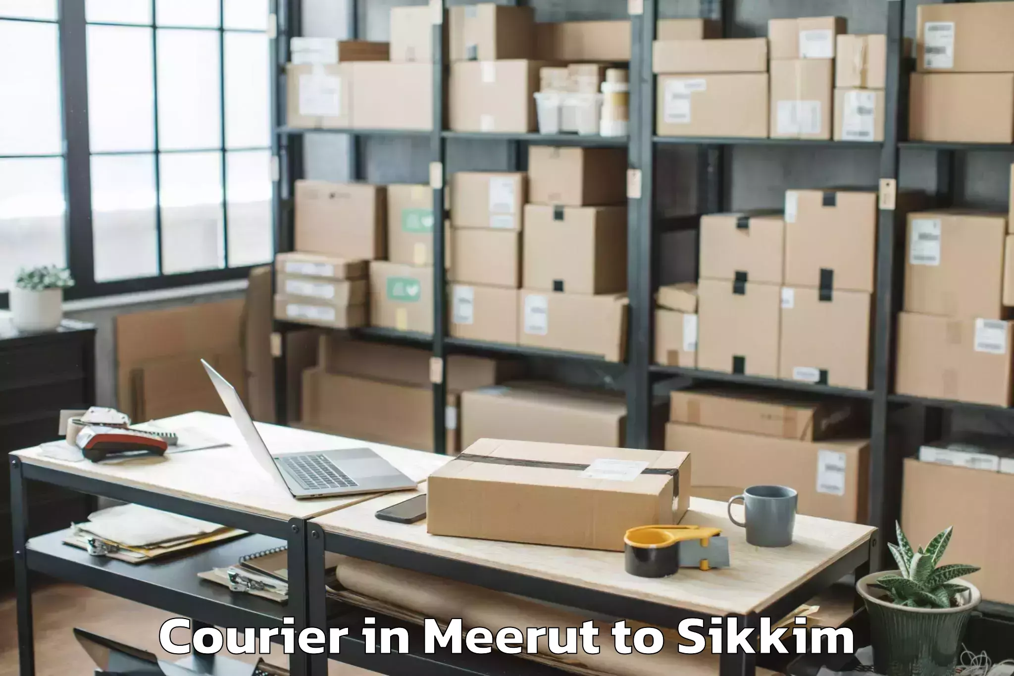 Professional Meerut to Icfai University Sikkim Gangto Courier